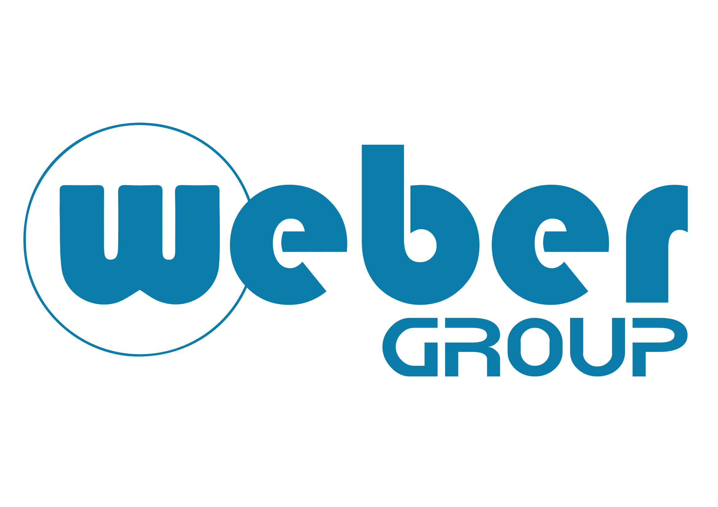 Logo Weber Group-1
